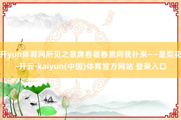 开yun体育网所见之景席卷着春意向我扑来——是梨花-开云·kaiyun(中国)体育官方网站 登录入口