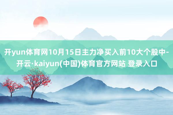 开yun体育网10月15日主力净买入前10大个股中-开云·kaiyun(中国)体育官方网站 登录入口