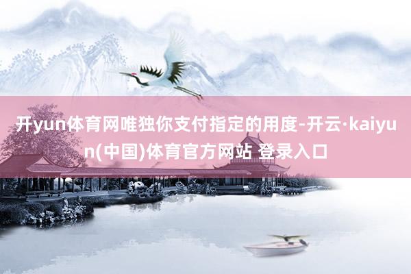 开yun体育网唯独你支付指定的用度-开云·kaiyun(中国)体育官方网站 登录入口