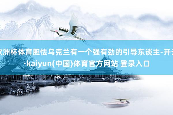 欧洲杯体育胆怯乌克兰有一个强有劲的引导东谈主-开云·kaiyun(中国)体育官方网站 登录入口