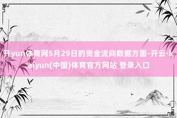 开yun体育网5月29日的资金流向数据方面-开云·kaiyun(中国)体育官方网站 登录入口