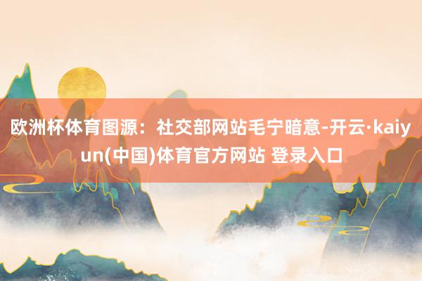 欧洲杯体育图源：社交部网站毛宁暗意-开云·kaiyun(中国)体育官方网站 登录入口