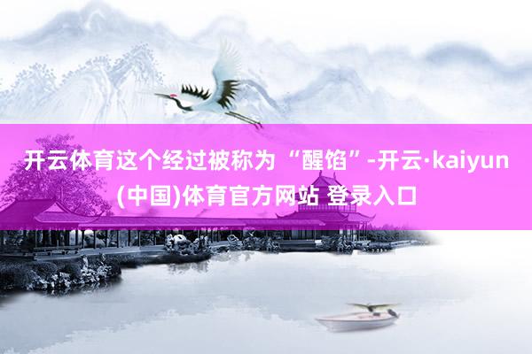 开云体育这个经过被称为 “醒馅”-开云·kaiyun(中国)体育官方网站 登录入口