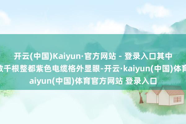 开云(中国)Kaiyun·官方网站 - 登录入口其中一张图片上布满的数千根整都紫色电缆格外显眼-开云·kaiyun(中国)体育官方网站 登录入口