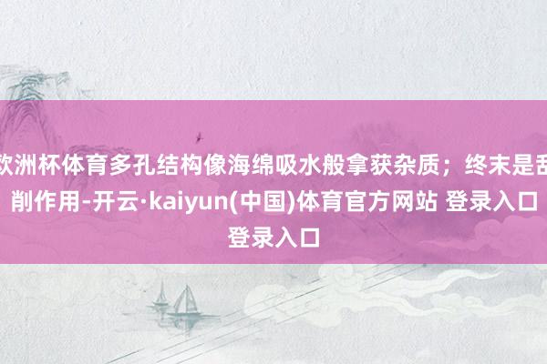 欧洲杯体育多孔结构像海绵吸水般拿获杂质；终末是刮削作用-开云·kaiyun(中国)体育官方网站 登录入口