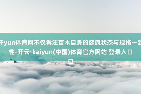 开yun体育网不仅眷注苗木自身的健康状态与规格一致性-开云·kaiyun(中国)体育官方网站 登录入口